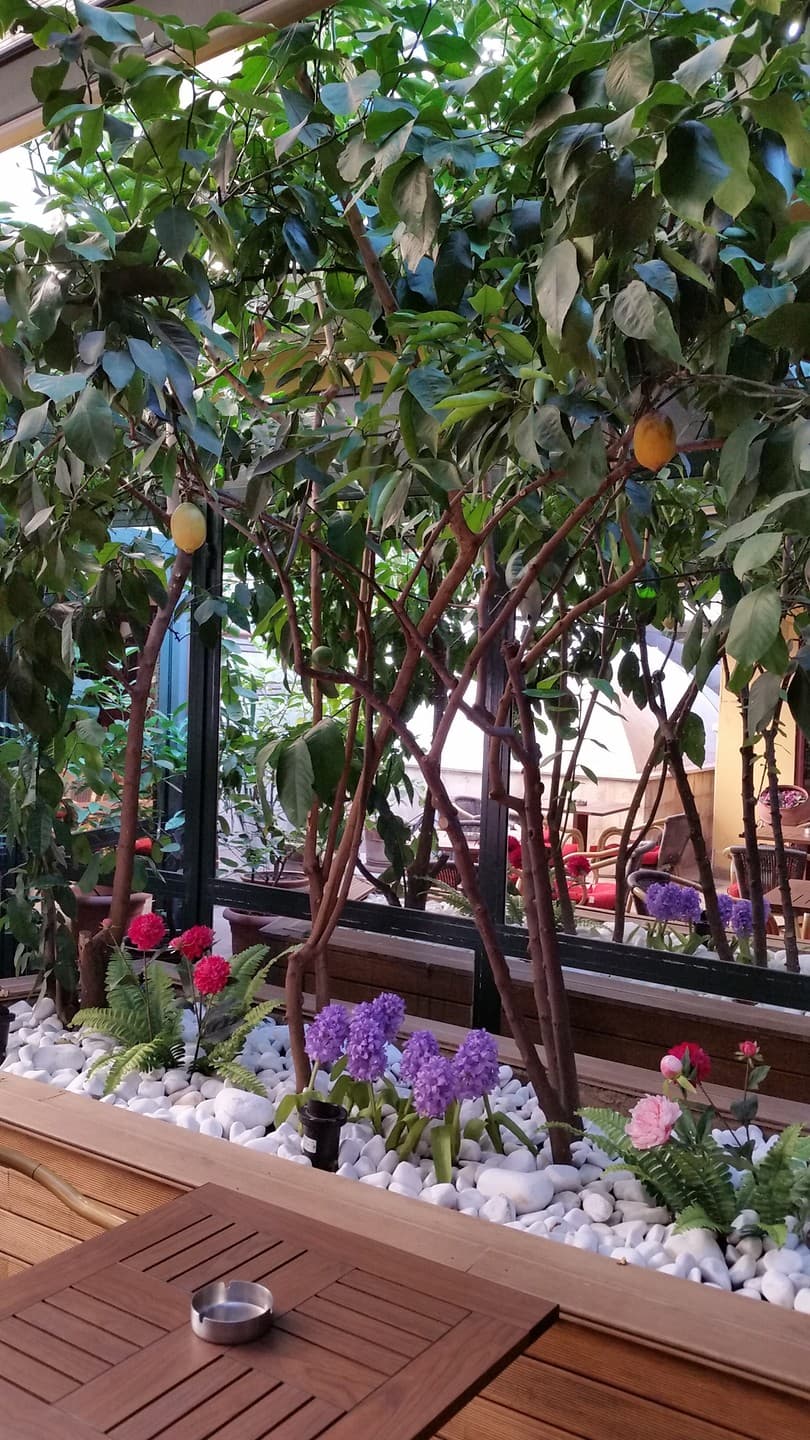 Boyugüzel Termal Hotel-42