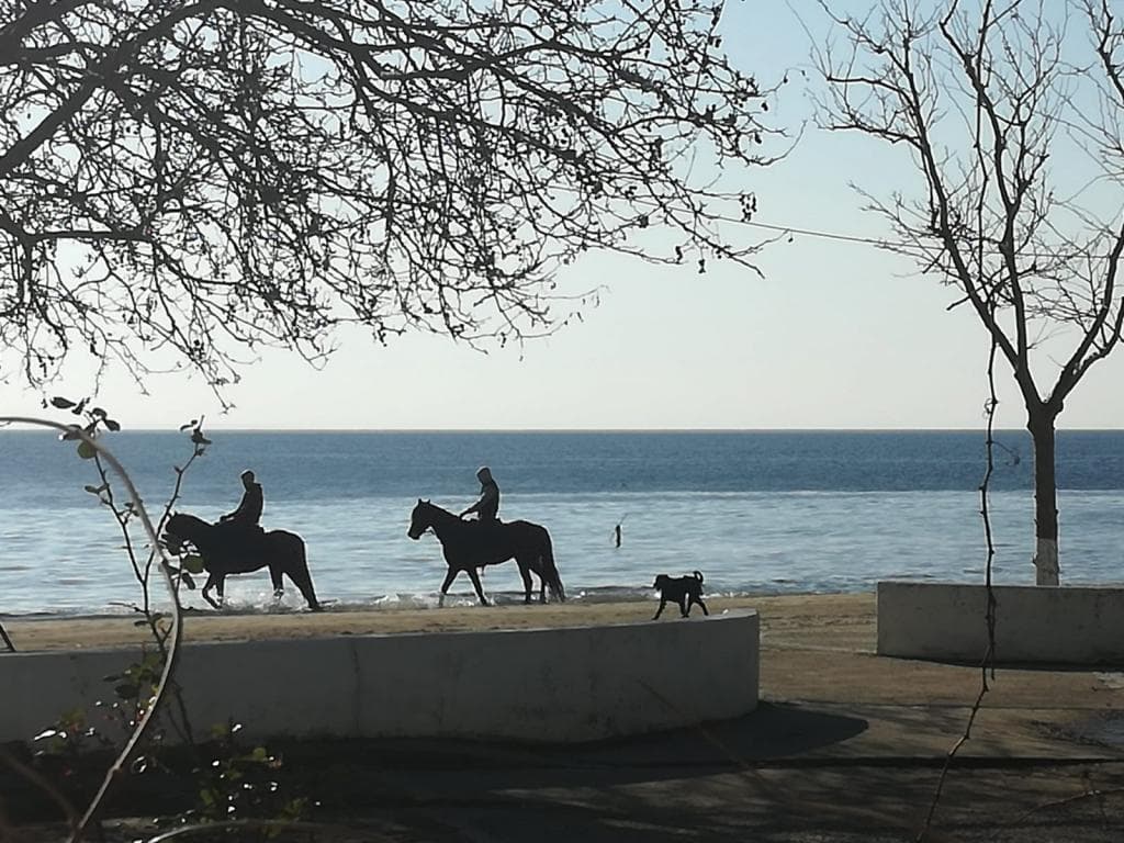 Grand Erdek Hotel-57