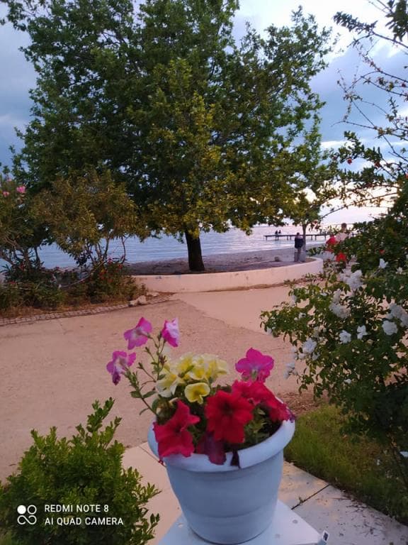 Grand Erdek Hotel-45