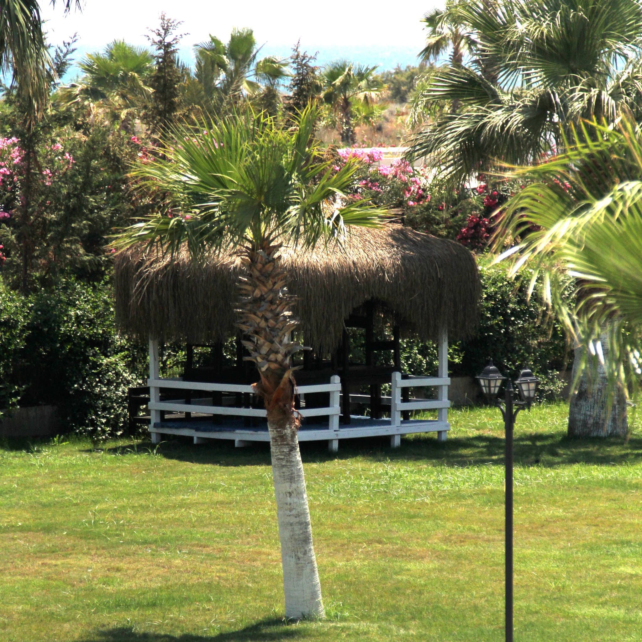 Rizom Beach Hotel-16