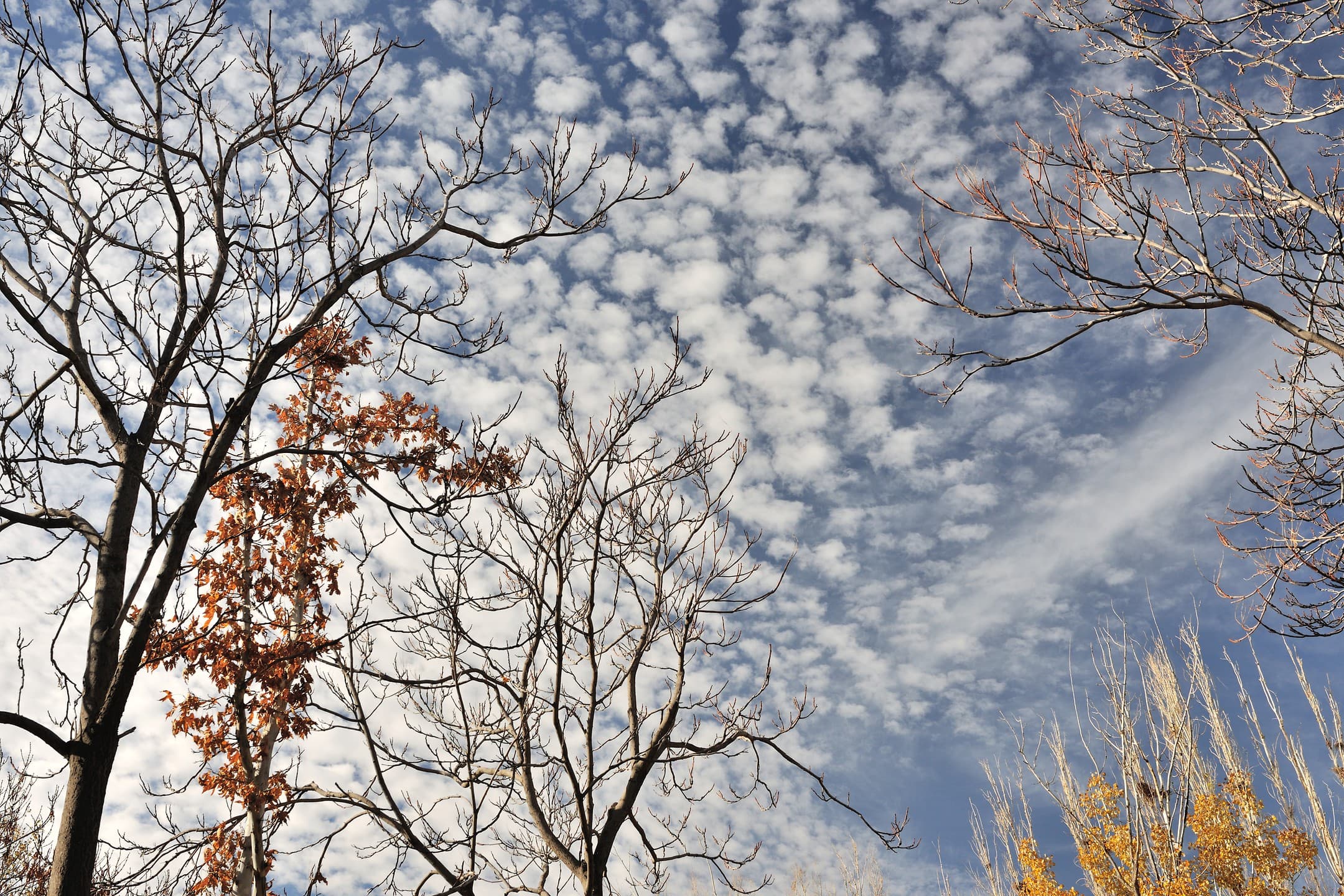 Ağaçlı Otel Aksaray-41