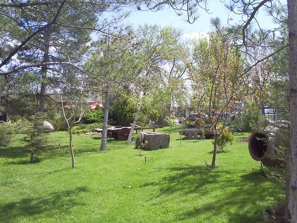 Ağaçlı Otel Aksaray-27