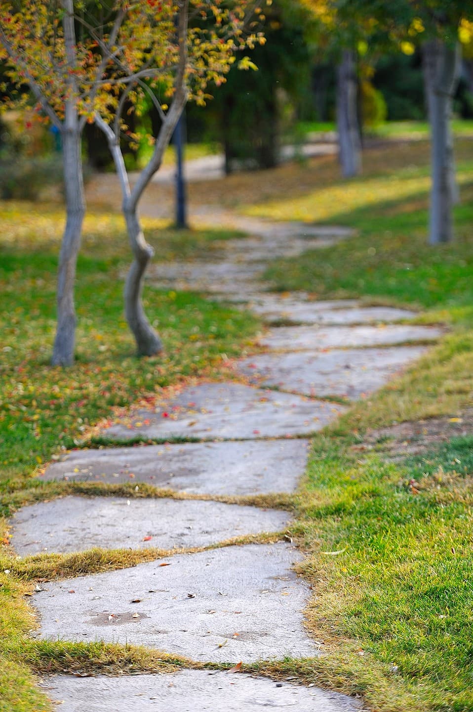Ağaçlı Otel Aksaray-23