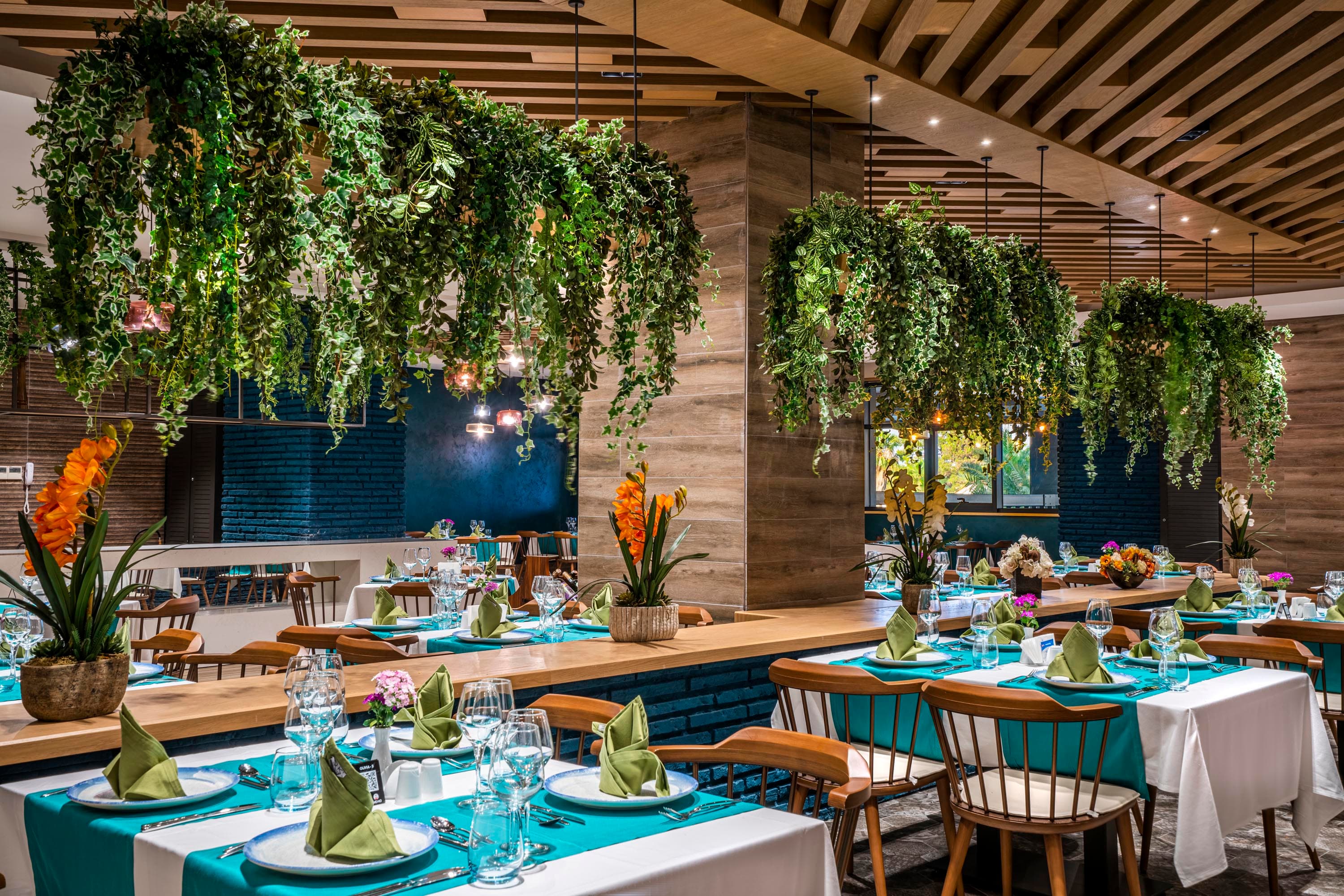 Calyptus Kirman Premium-48