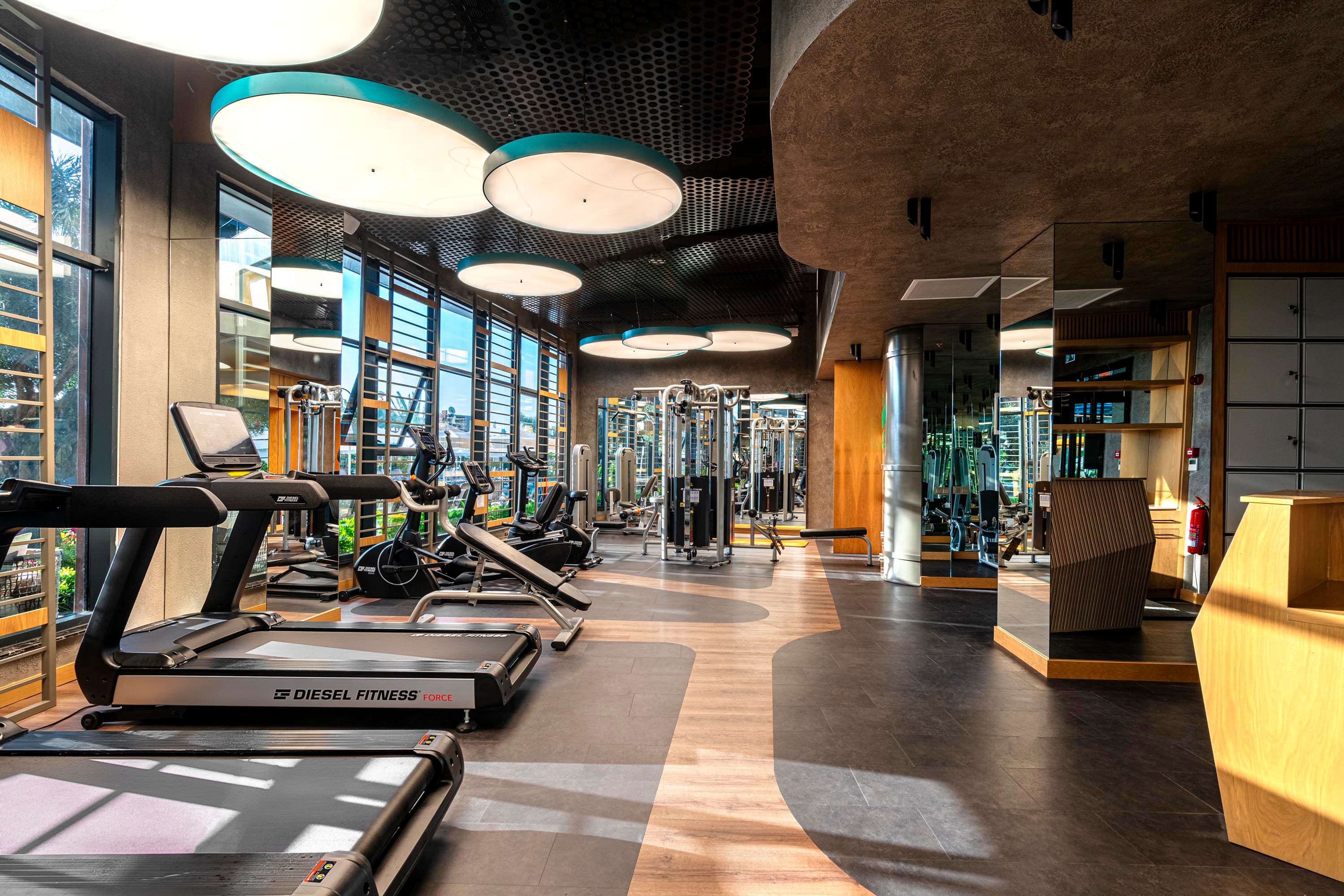 Calyptus Kirman Premium-26