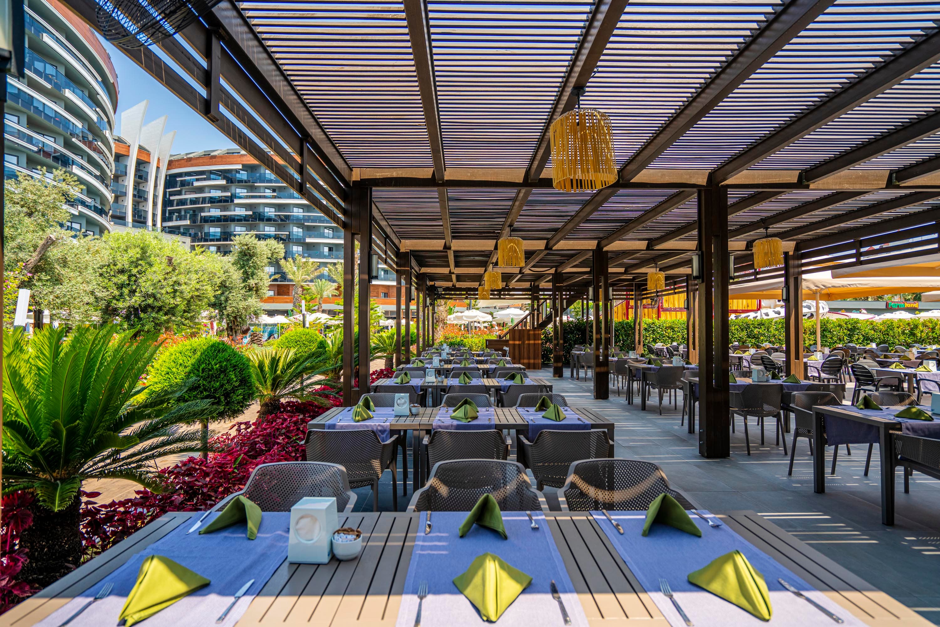 Calyptus Kirman Premium-31