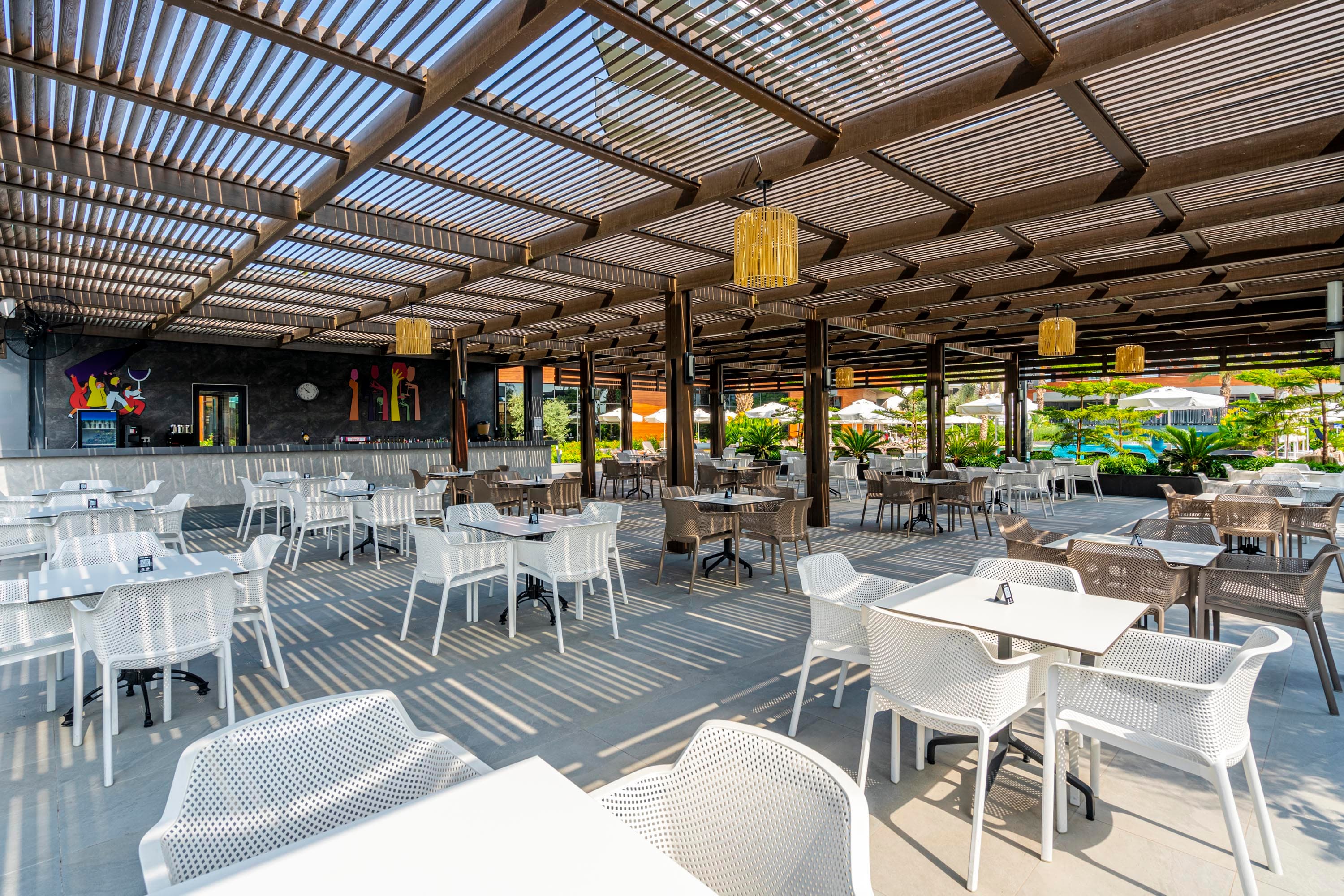 Calyptus Kirman Premium-8