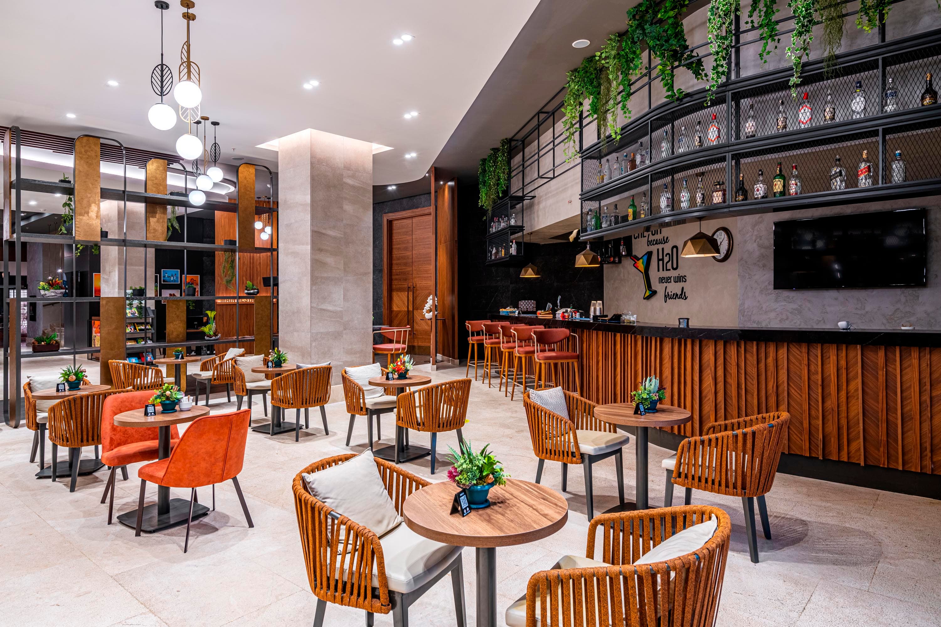 Calyptus Kirman Premium-63