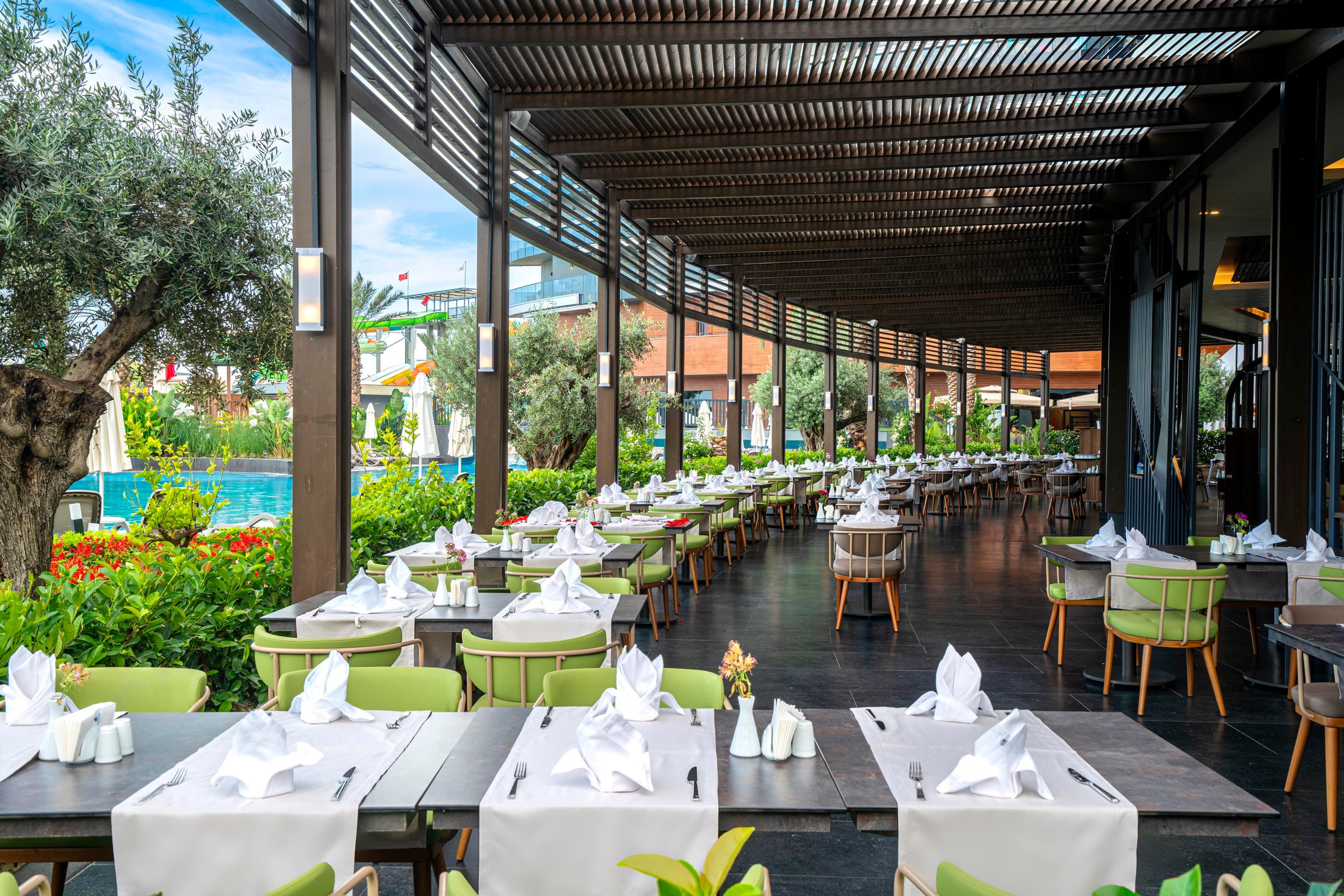 Calyptus Kirman Premium-35