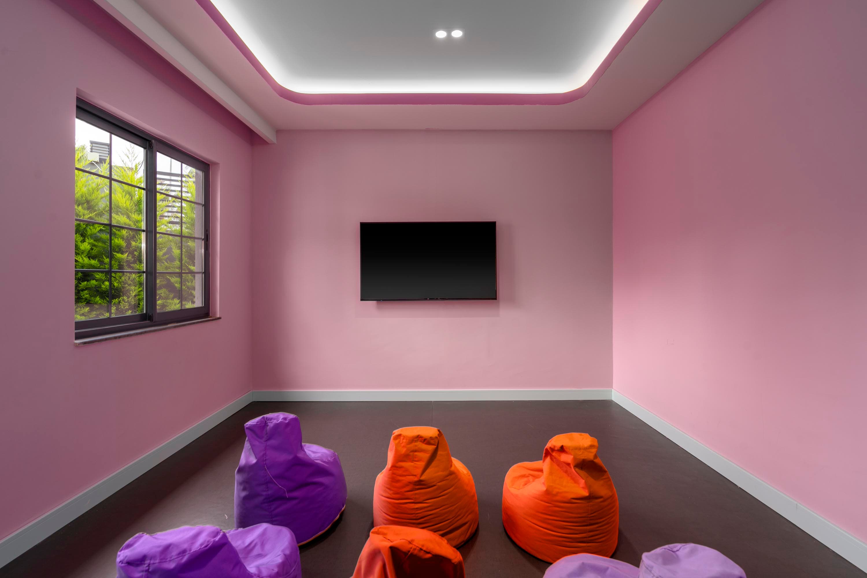 Calyptus Kirman Premium-17