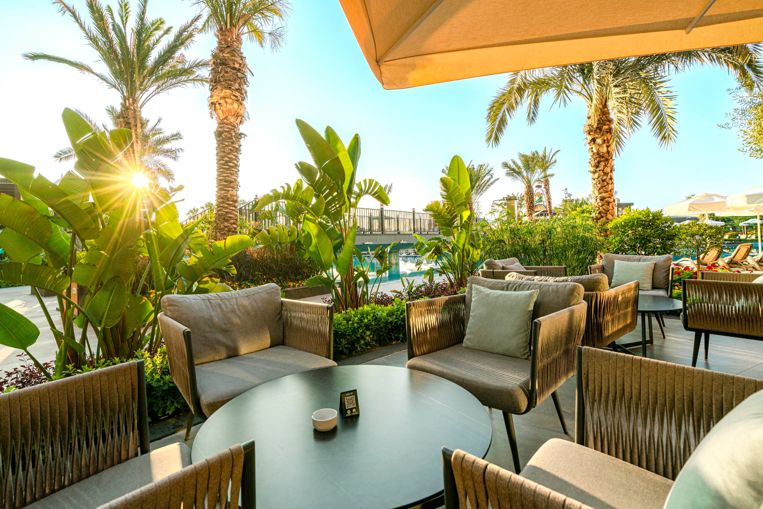 Calyptus Kirman Premium-62