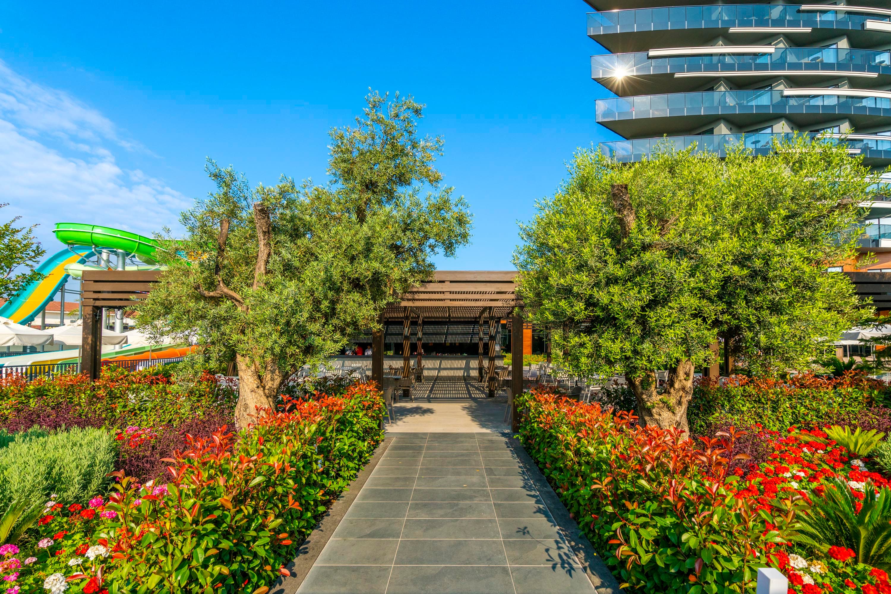 Calyptus Kirman Premium-44