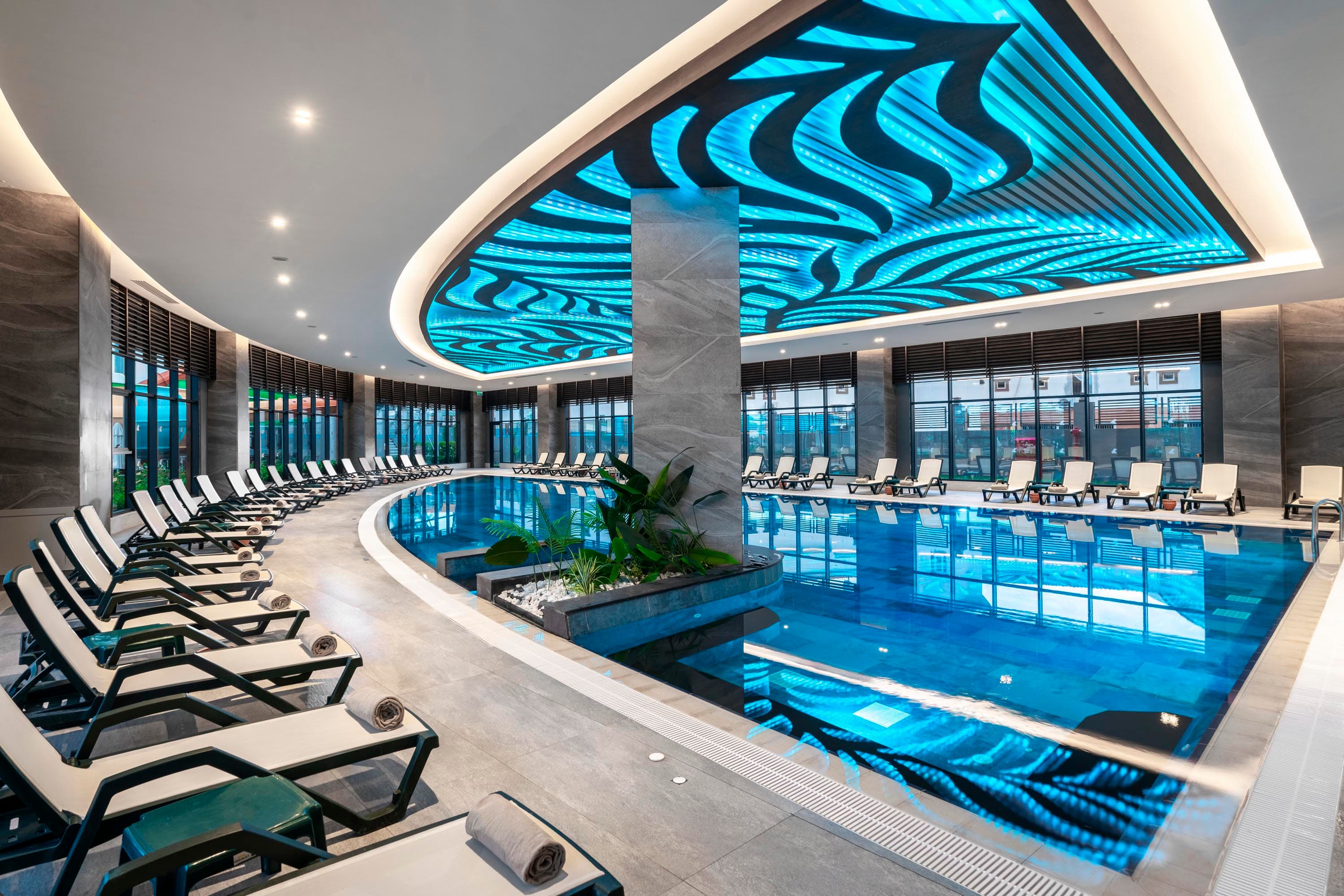 Calyptus Kirman Premium-57