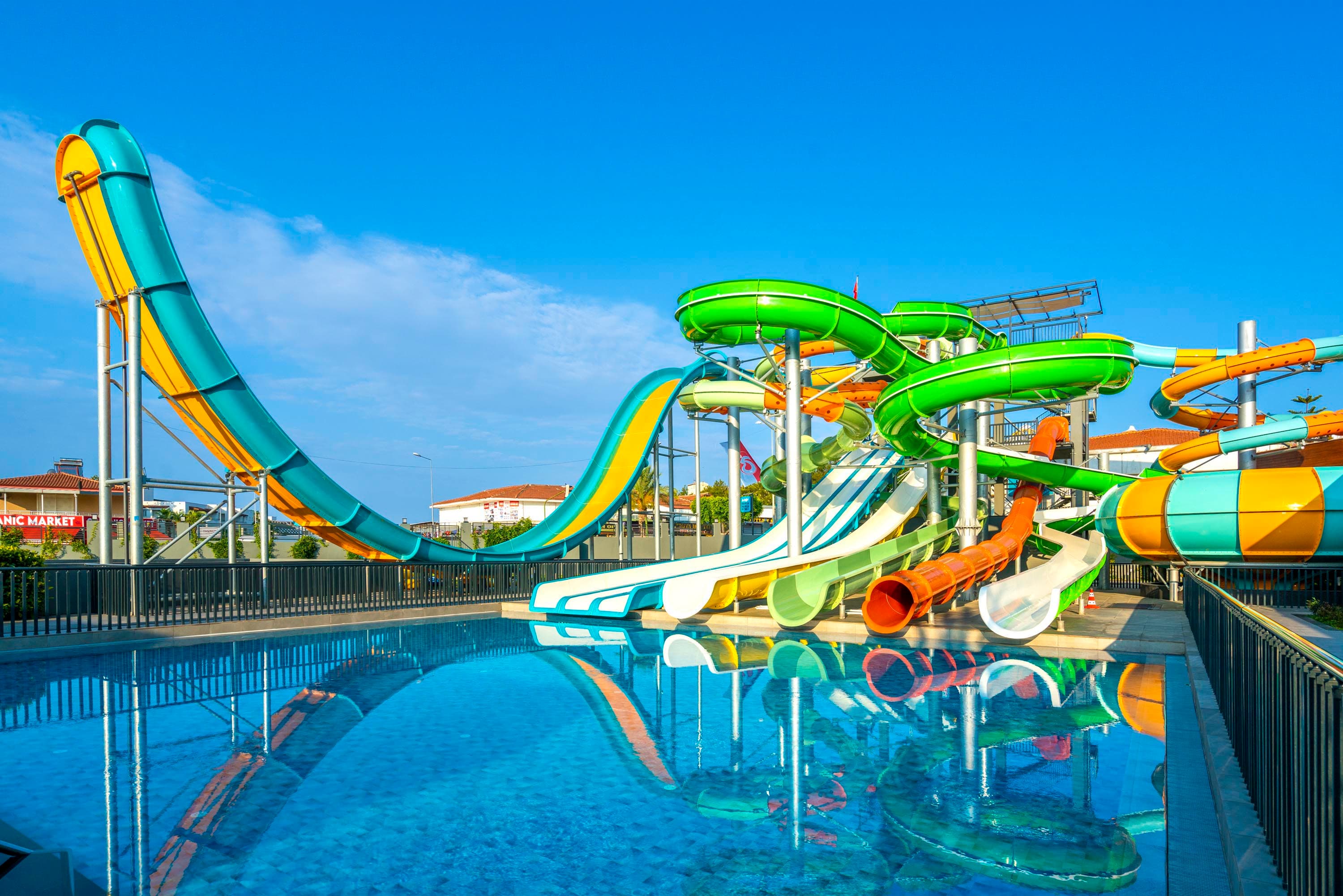 Calyptus Kirman Premium-45