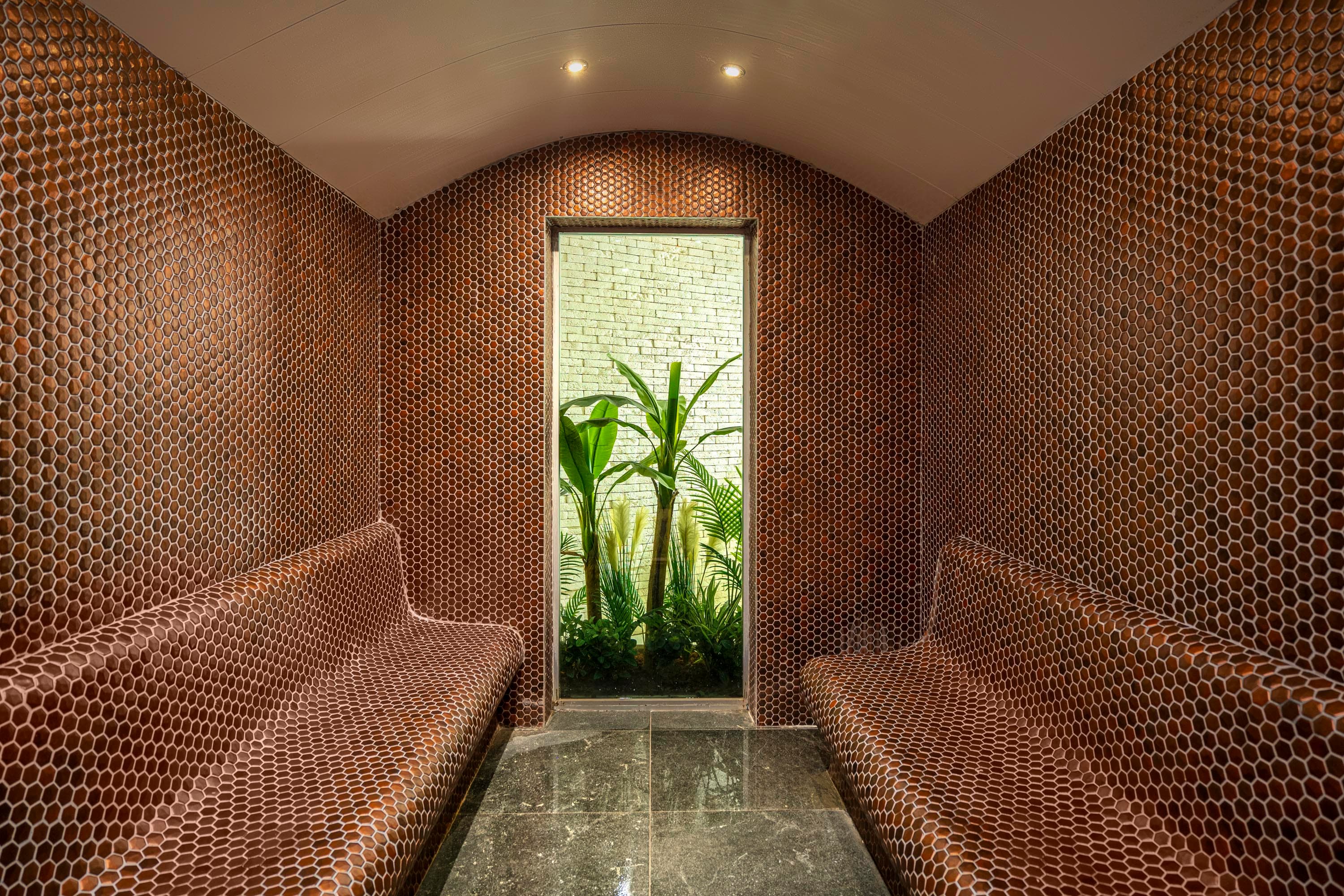 Calyptus Kirman Premium-55