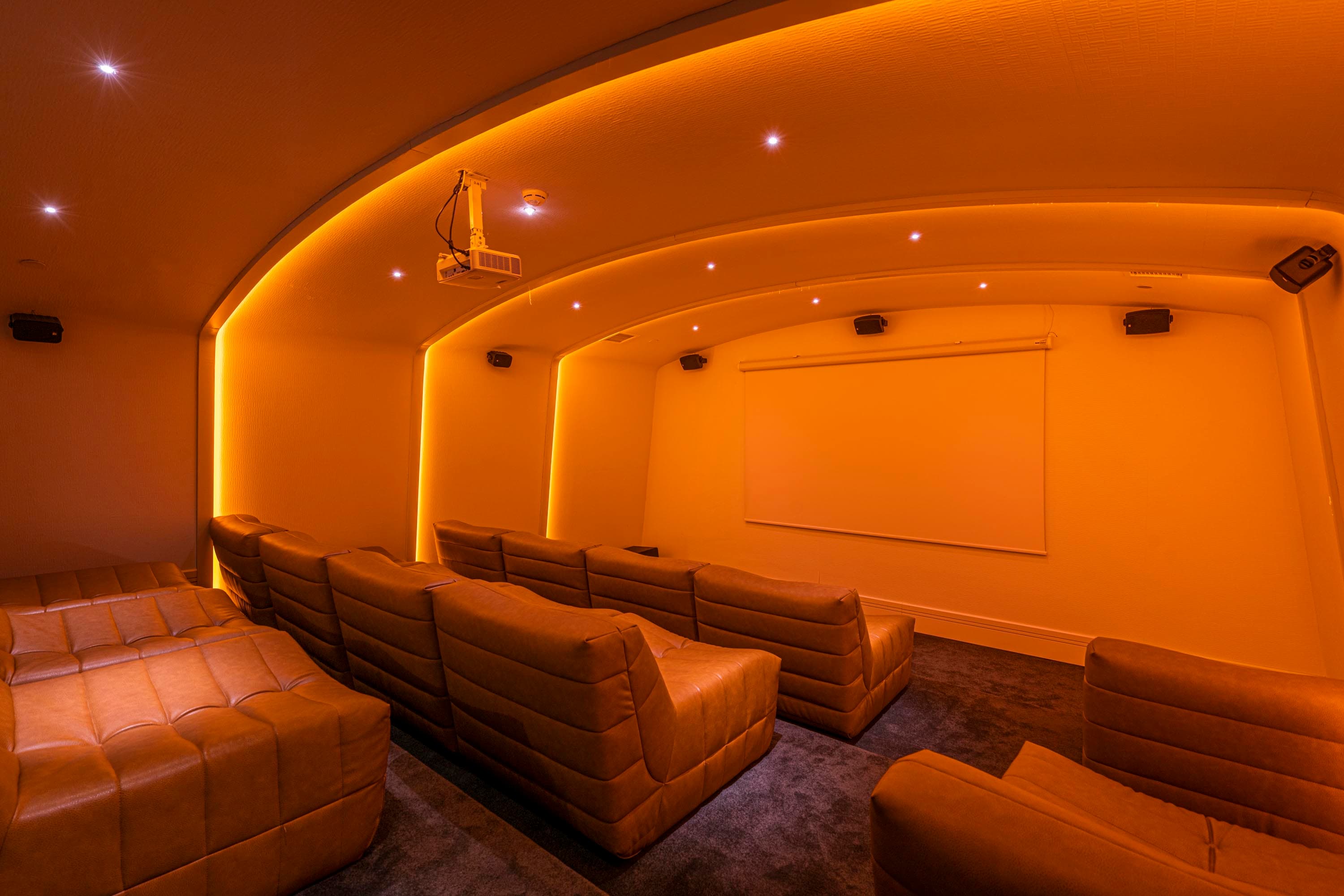 Calyptus Kirman Premium-33