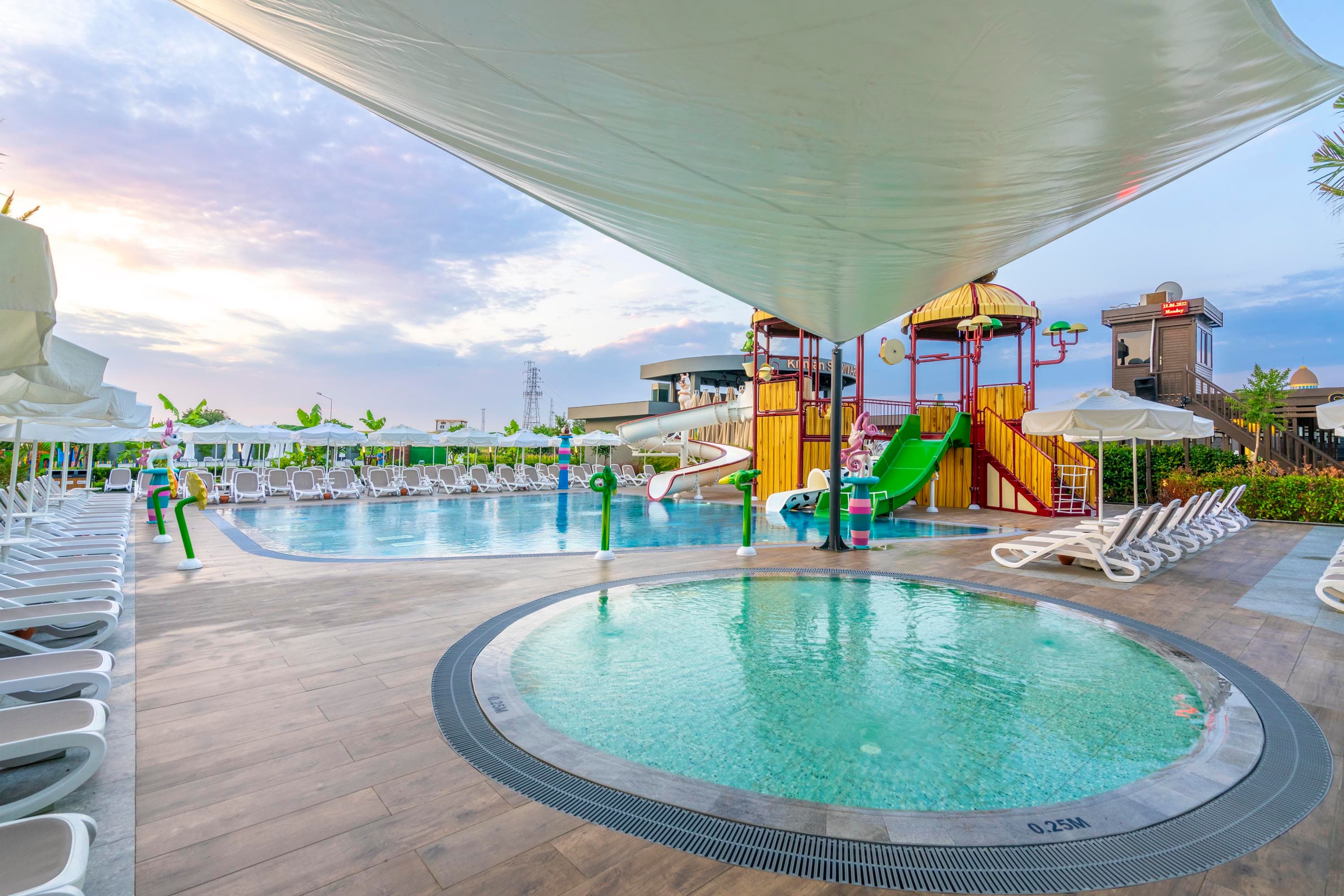 Calyptus Kirman Premium-56