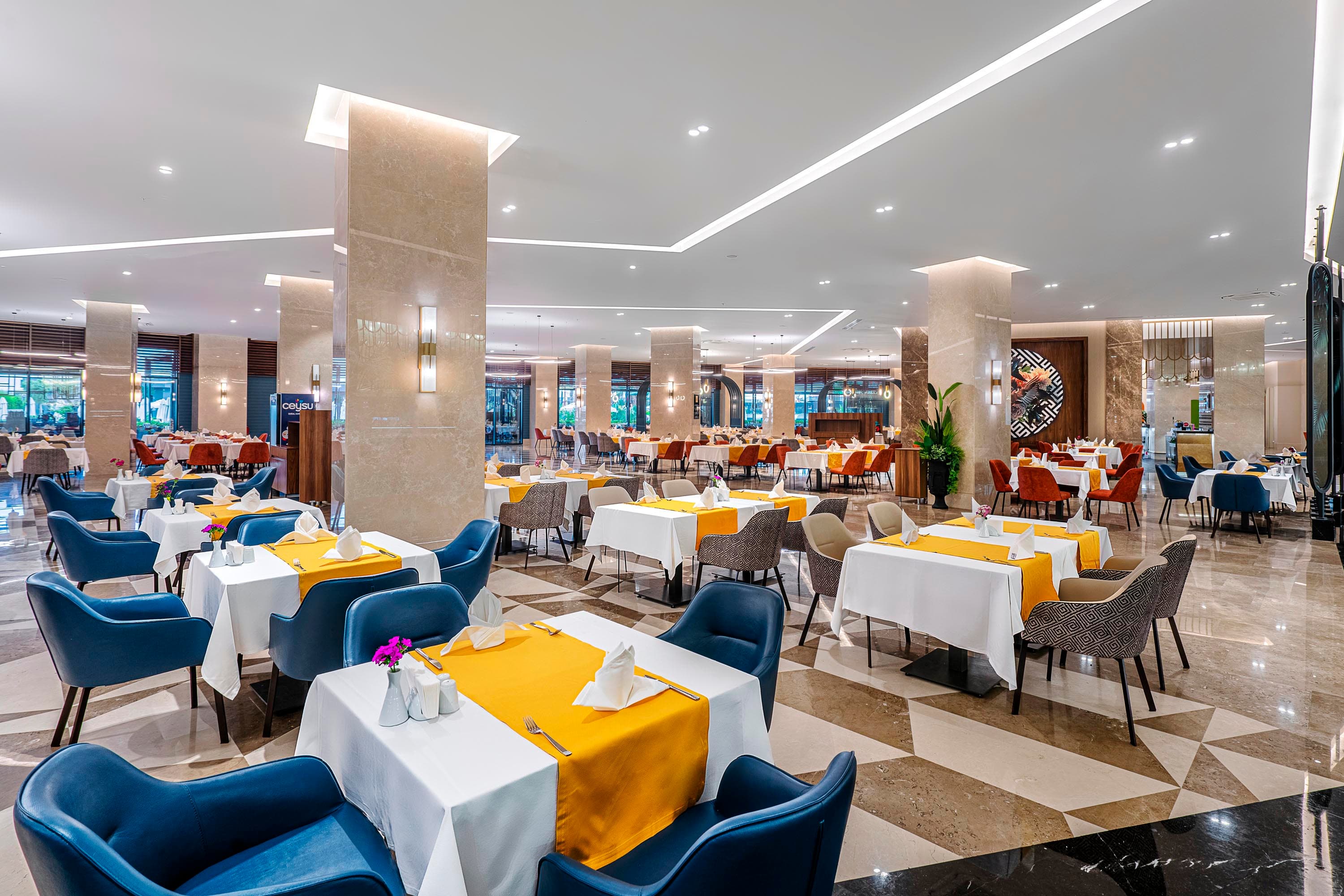 Calyptus Kirman Premium-resim-6