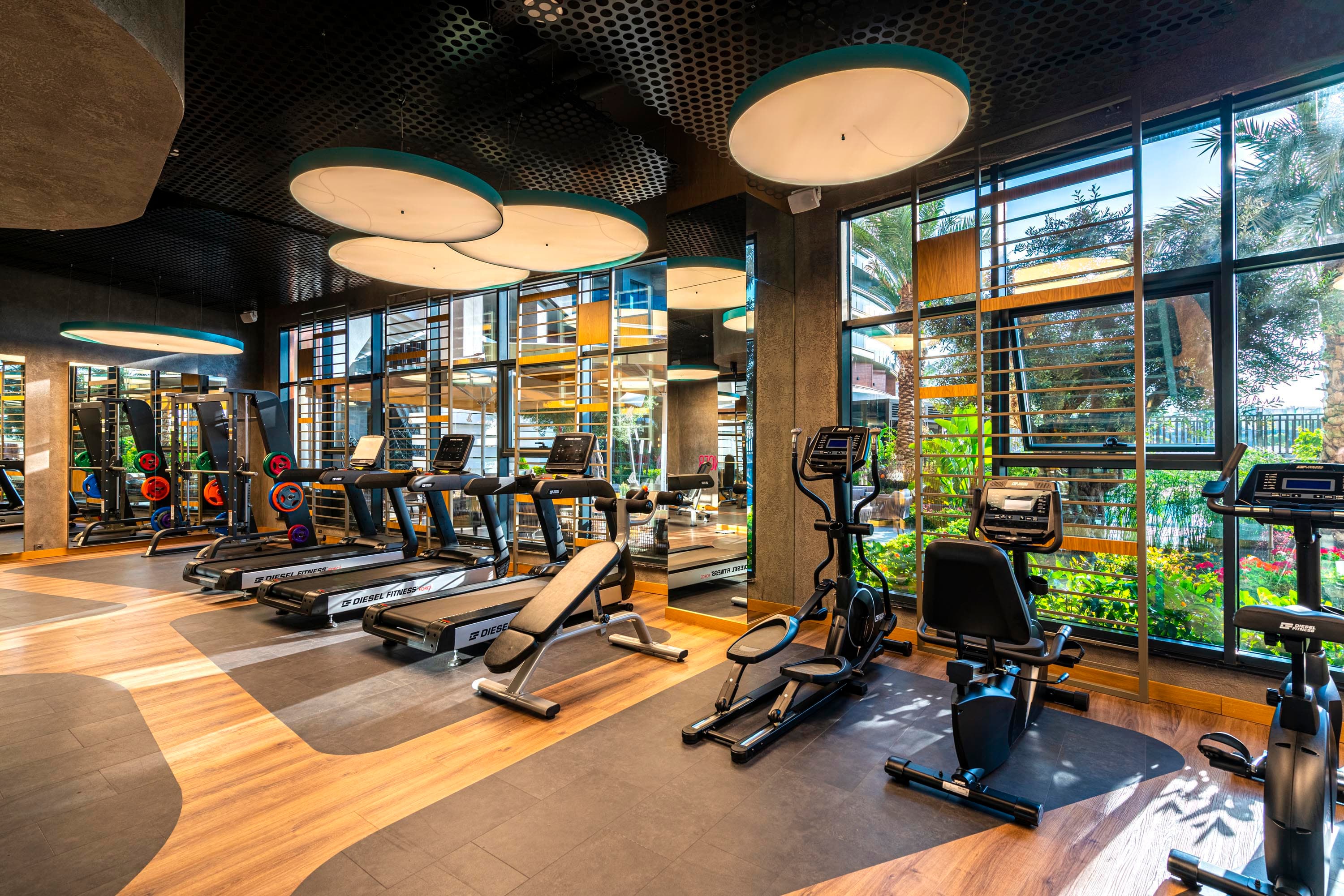 Calyptus Kirman Premium-25