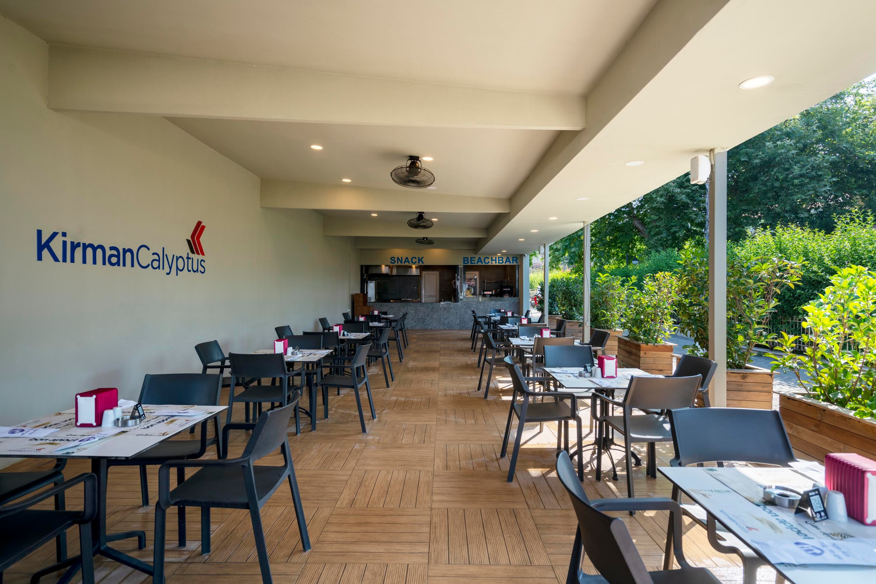 Calyptus Kirman Premium-30