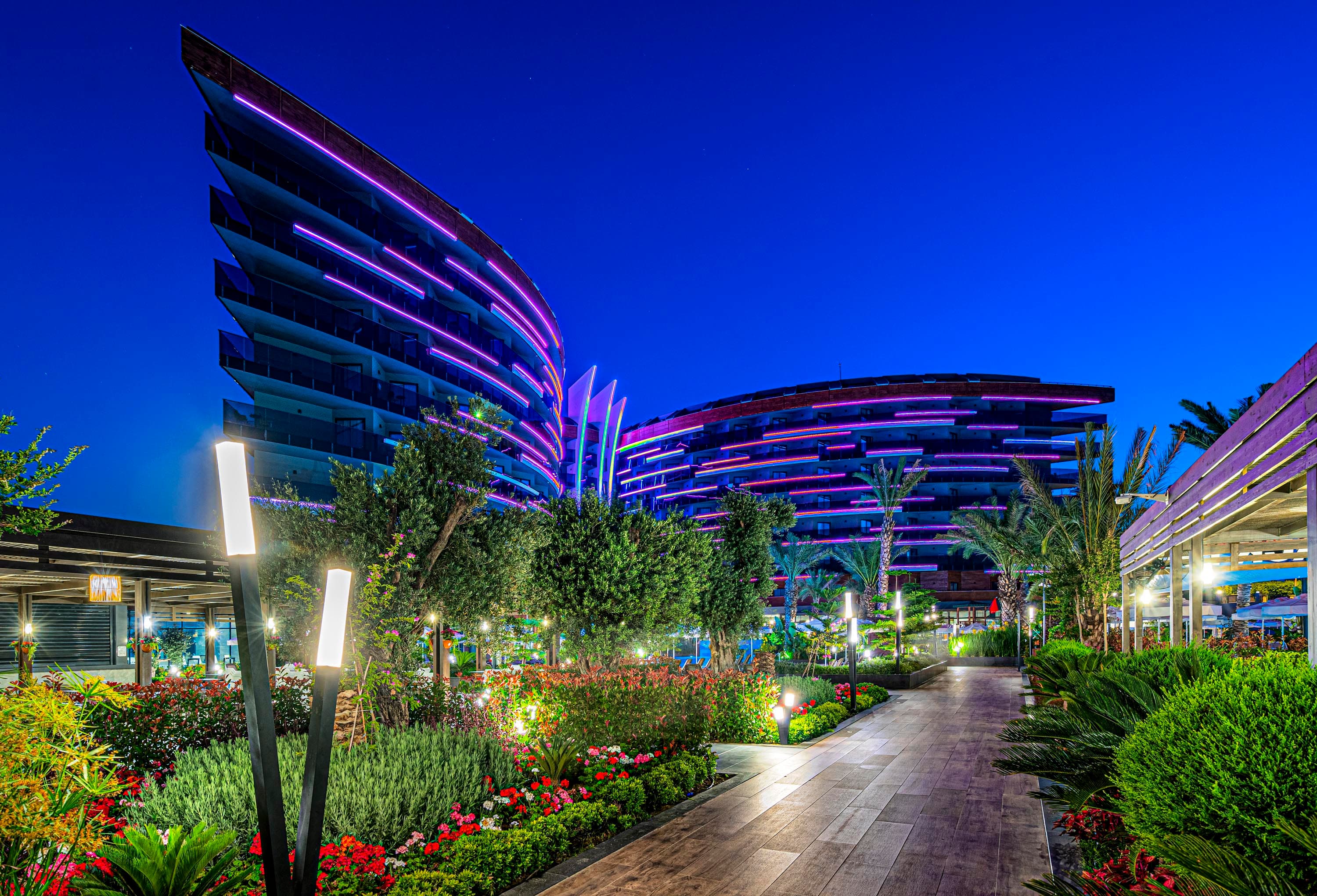 Calyptus Kirman Premium-43