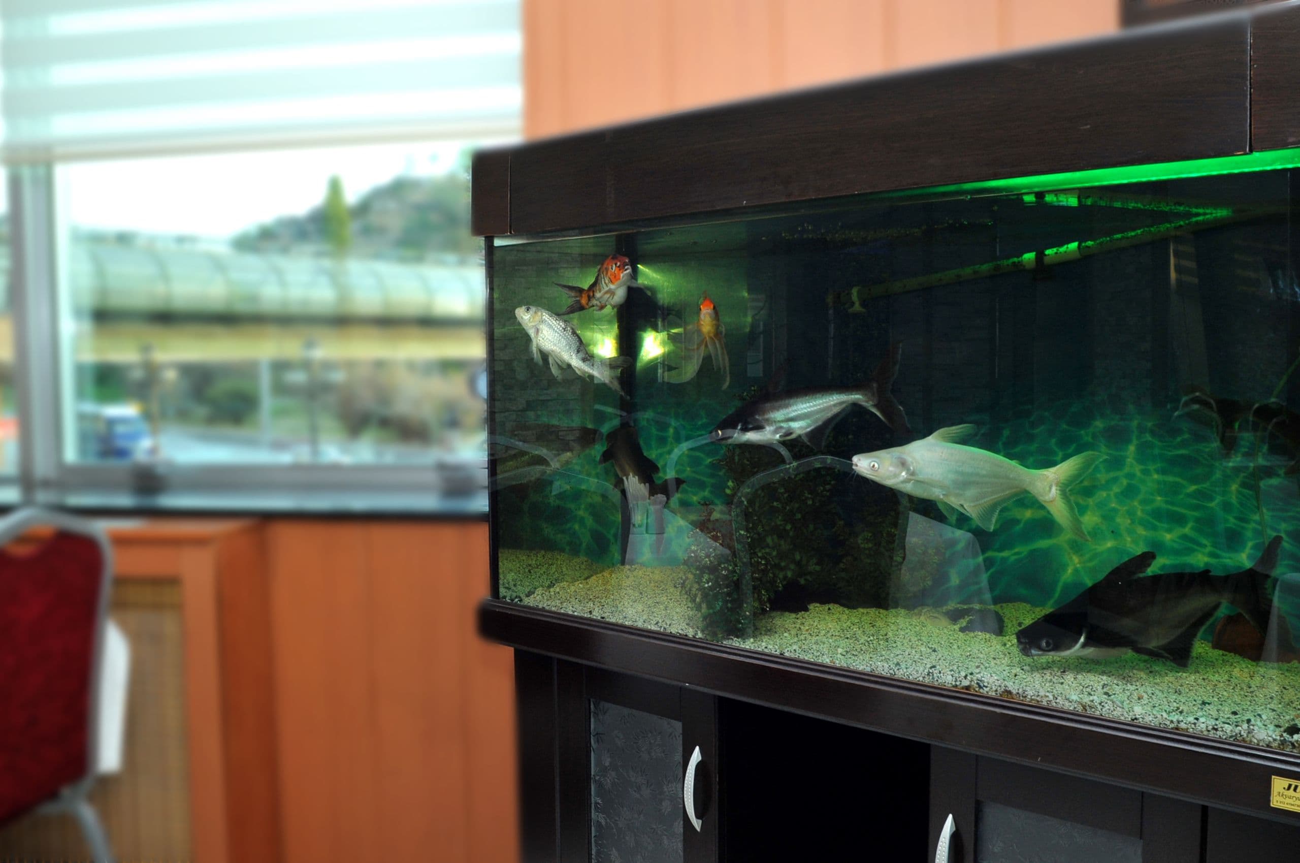 Lion City Hotel Ankara-14