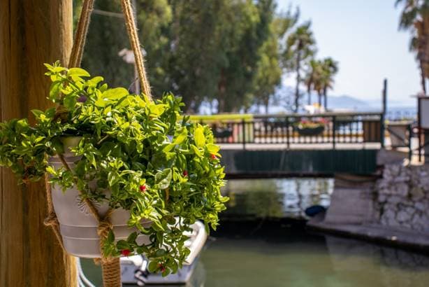 Turunç Dream Hotel-28