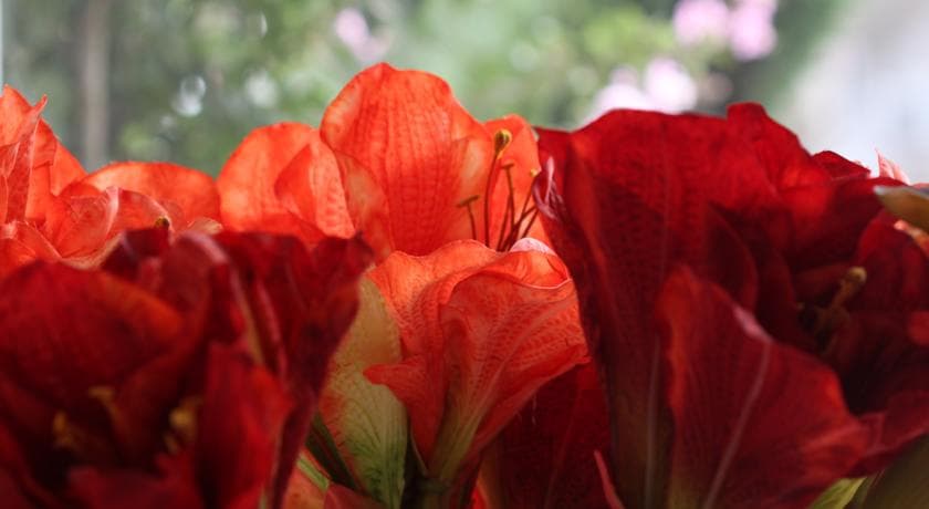 İsmira Hotel Ankara-24