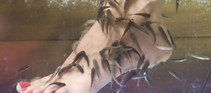 Lycus River Thermal Hotel-65