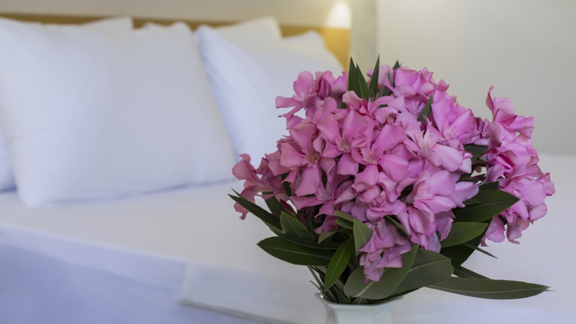 Lycus River Thermal Hotel-30