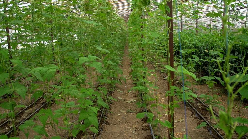 Balçova Termal Otel-19