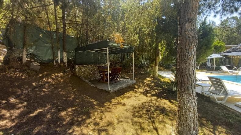 Hotel Tropicana Datça-3