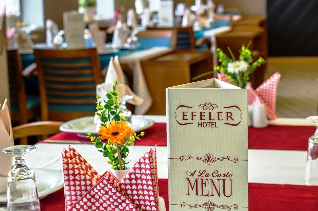 Efeler Hotel Aydın-17