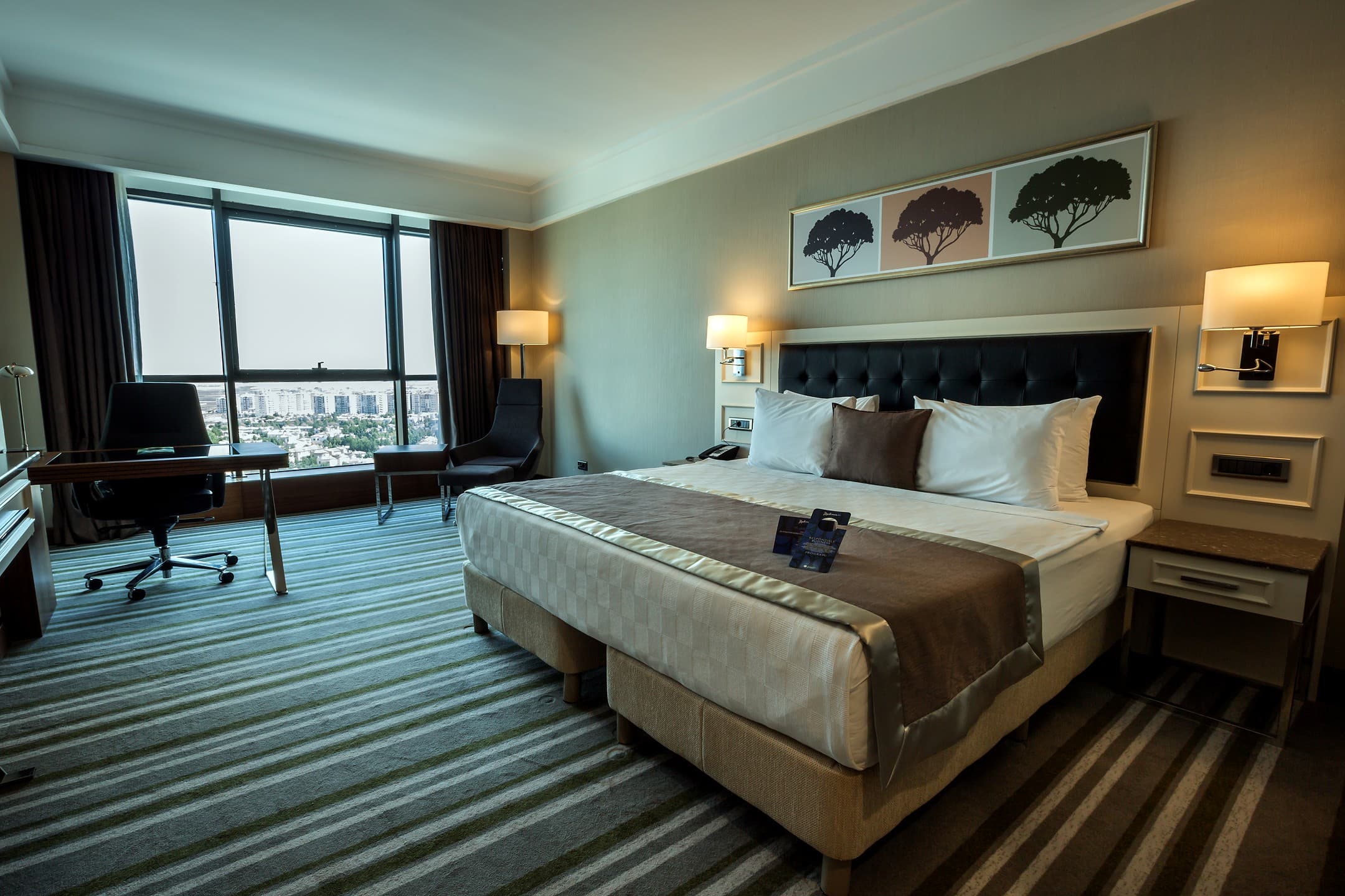 Radisson Blu Diyarbakır-73