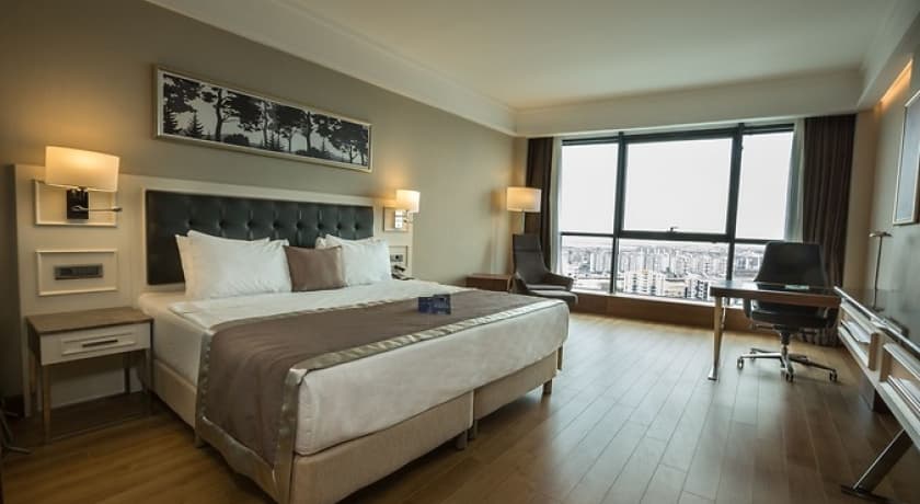 Radisson Blu Diyarbakır-64