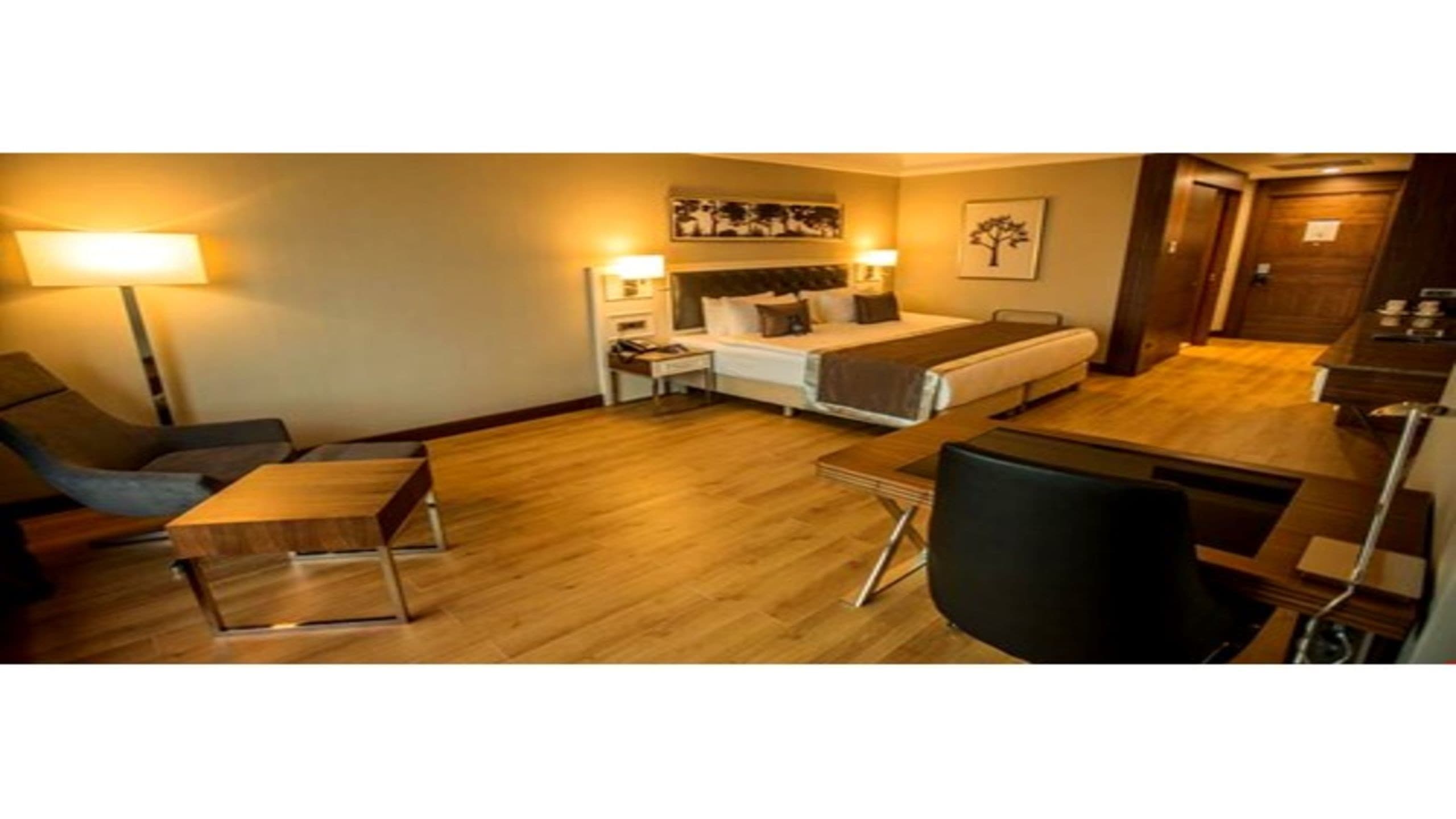 Radisson Blu Diyarbakır-79