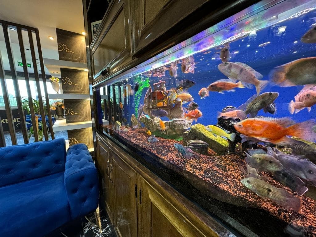 Grand Lara Hotel & Apartments-26