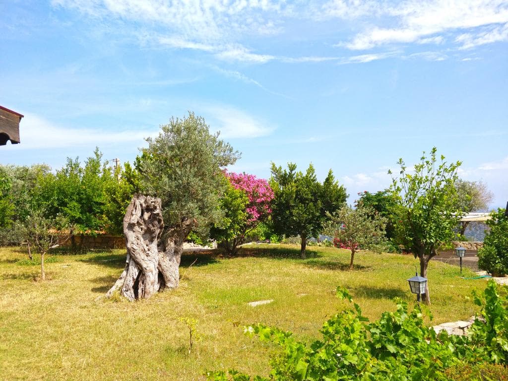 Zephyros City Otel-13