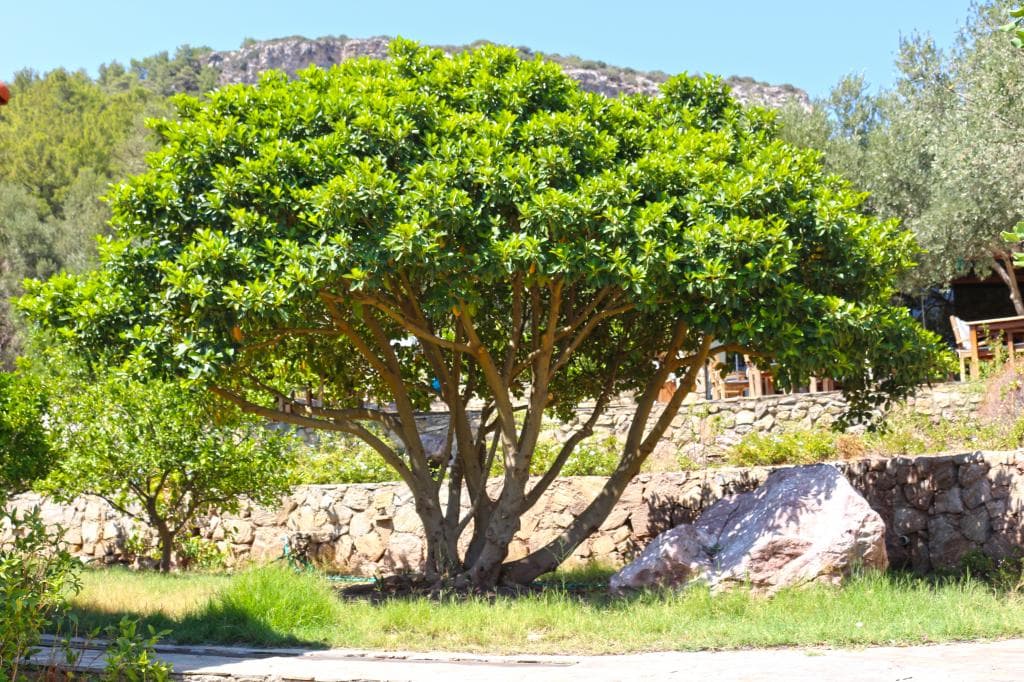 Zephyros City Otel-36