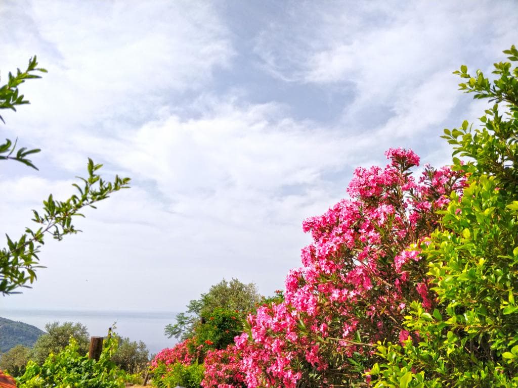 Zephyros City Otel-22