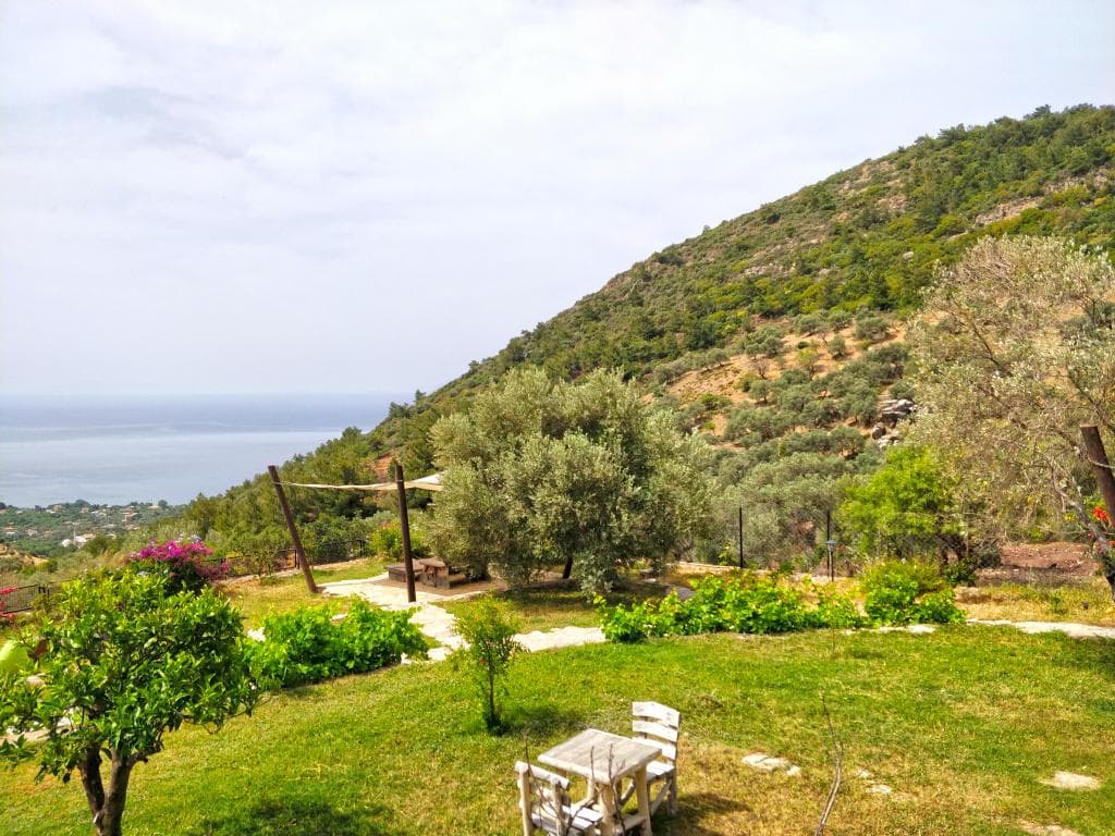 Zephyros City Otel-15