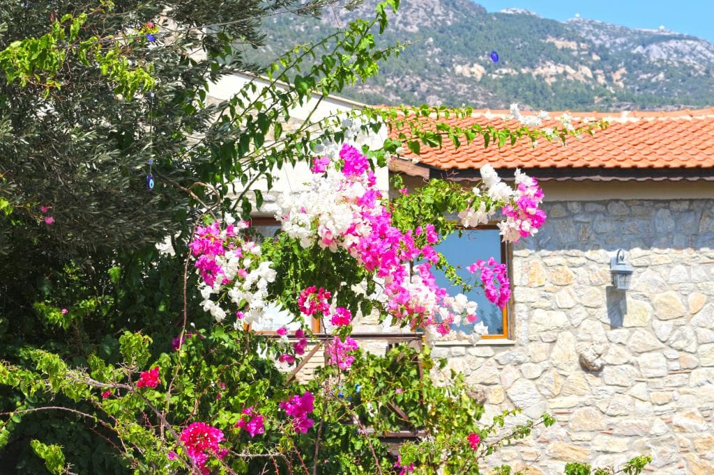 Zephyros City Otel-33