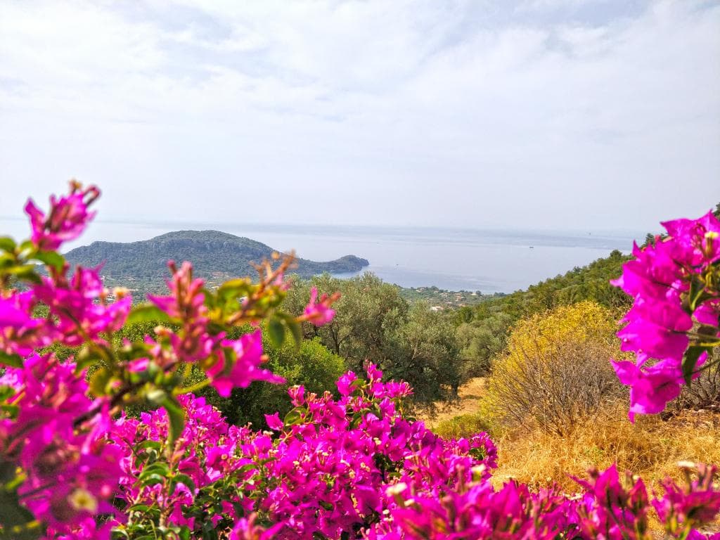 Zephyros City Otel-14