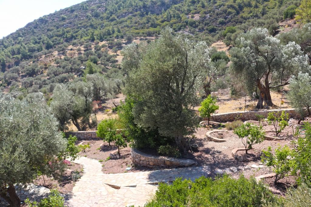 Zephyros City Otel-39