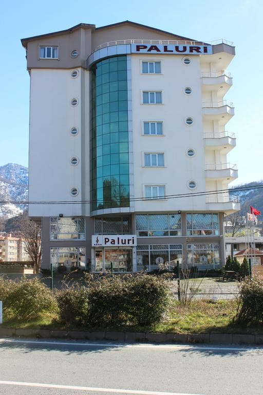 Paluri Hotel-9