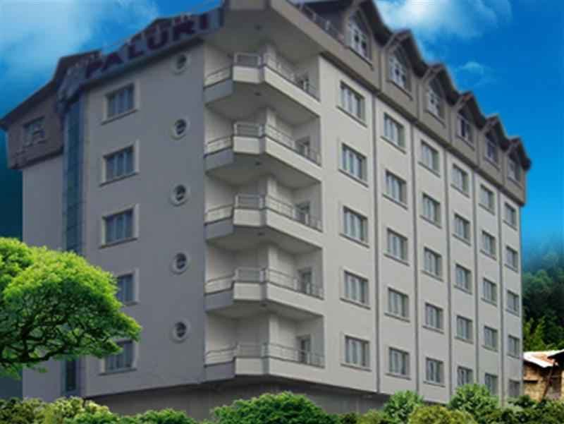 Paluri Hotel-7
