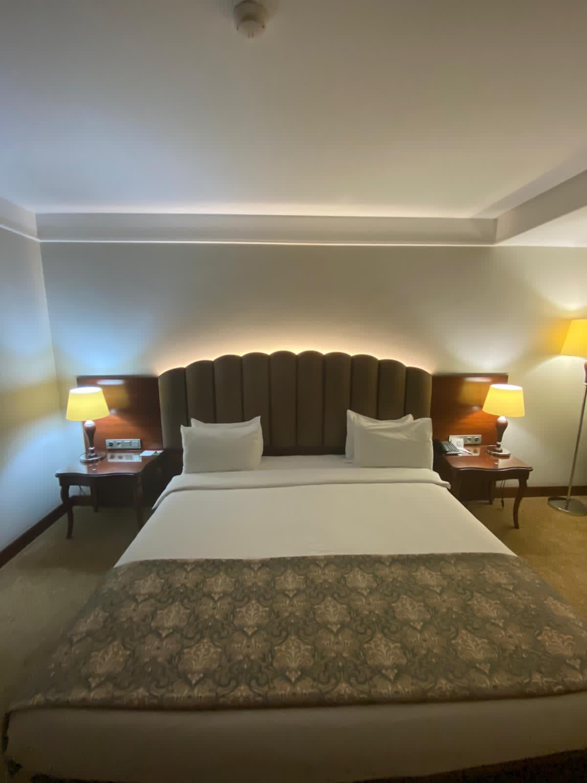 Ramada Plaza Malatya Altın Kayısı-10