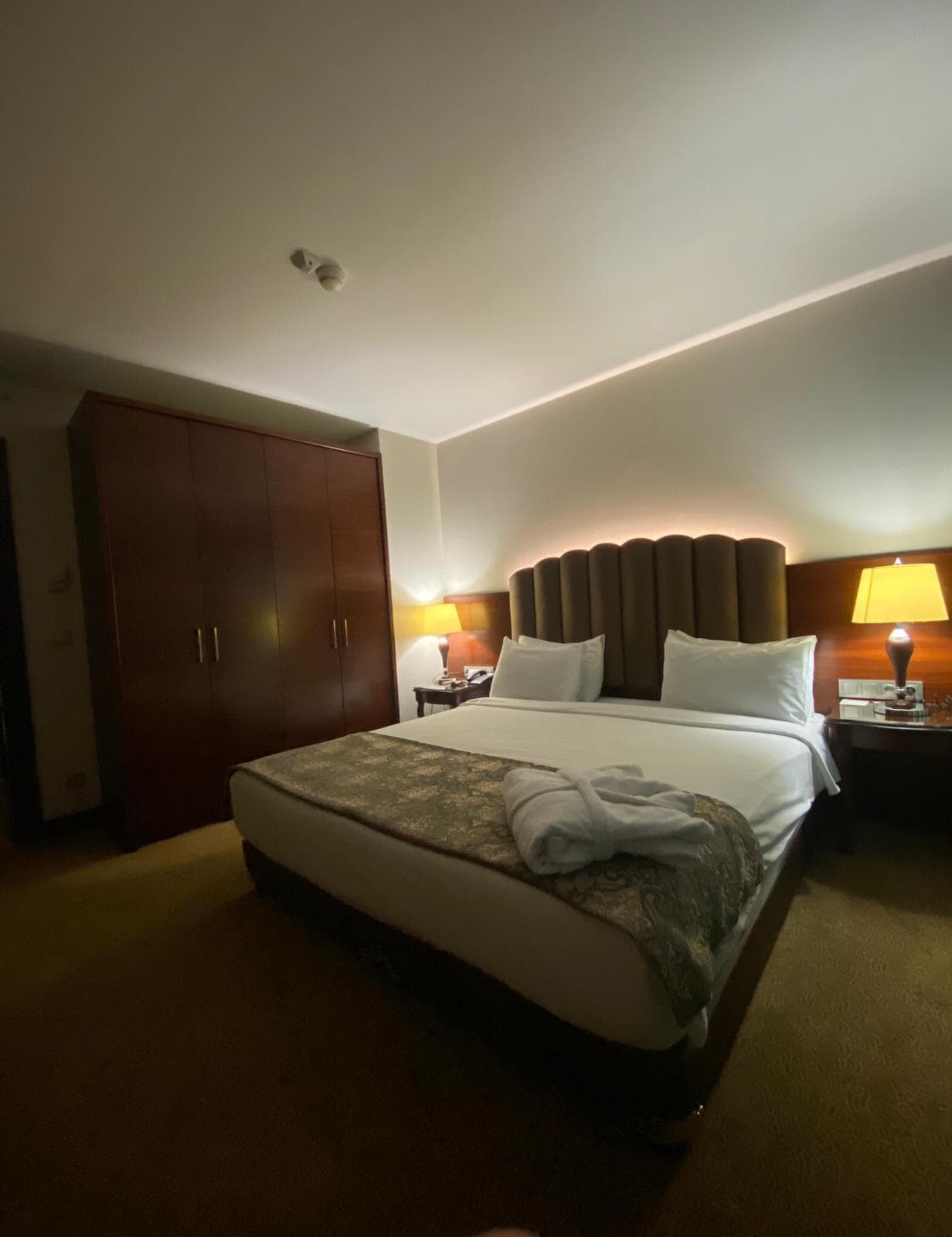 Ramada Plaza Malatya Altın Kayısı-11