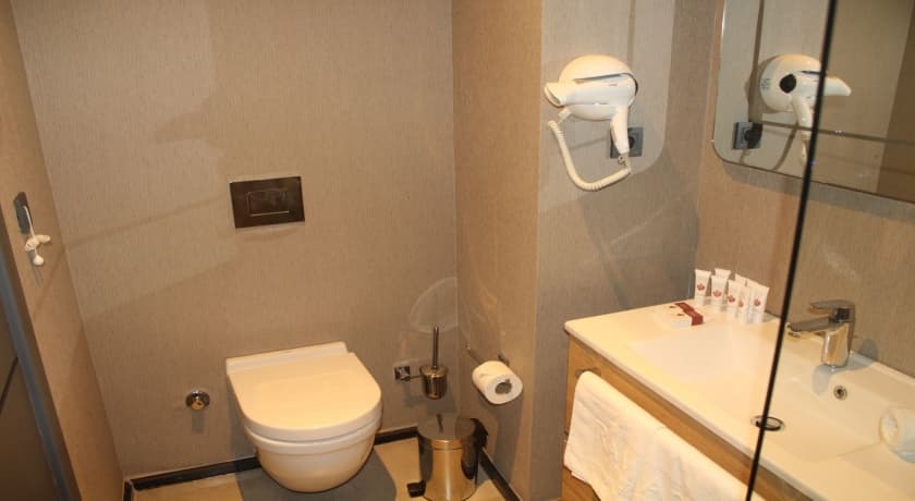 Ramada by Wyndham Tire-14