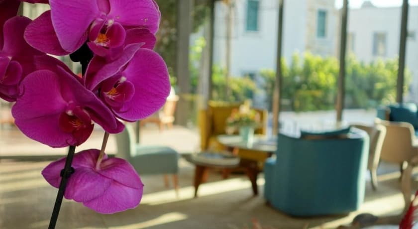 Otel Eskiceshme Bodrum Marina -43